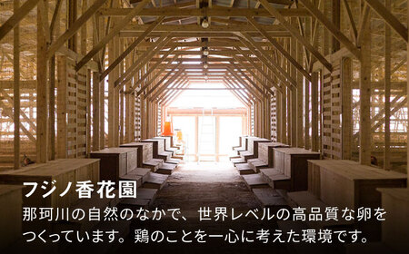 ＼月2回発送／【TVで紹介！】【鮮度ＡＡ級の世界最高ランク！】金太郎卵 平飼い たまご 計36個(18個×月2回)＜有限会社フジノ香花園＞那珂川市[GAM037]