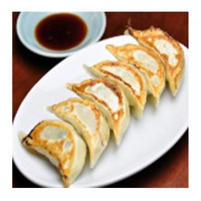 ふるさと納税 高岡市 みんみんの餃子80個