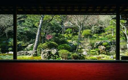 新居浜の名刹「慈眼寺」で水引細工体験！抹茶とフレンチも堪能する贅沢な時間 「7名様」 体験 水引細工 散策 チケット （811）