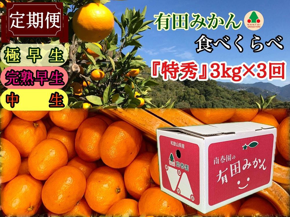 
            定期便 有田みかん 食べくらべ 3種 特秀 各 3kg コース 全3回 南泰園 みかん
          