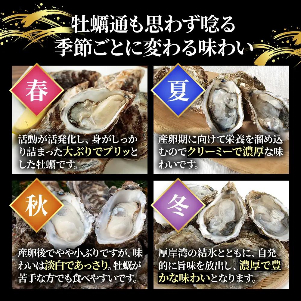 【 3ヵ月 定期便 】 厚岸産 ブランド 殻付カキ マルえもん 生食用 サイズ食べ比べ 12個 (3L・M各6個)[ 魚貝類 生牡蠣 かき 牡蠣 カキ 生ガキ 食べ比べ ]