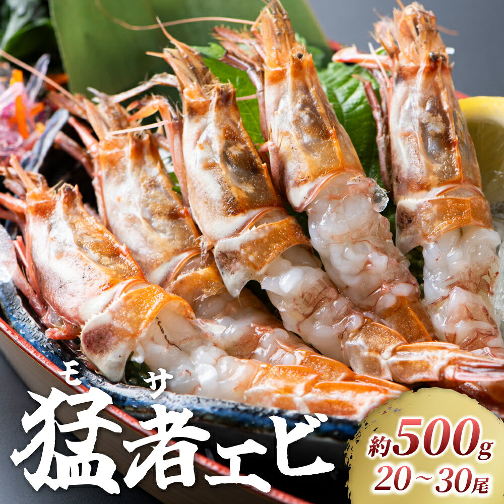 【ふるさと納税】（先行予約）幻のえび！ モサエビ 約500g｜鳥取県 岩美町 もさえび 猛者海老 えび クロザコエビ どろえび がすえび 日本海 冷蔵 送料無料【23006】