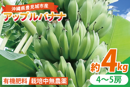 アップルバナナ 約4kg (DL003)