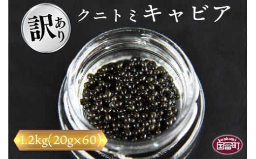 
【訳あり】＜クニトミキャビア 1.2kgセット(20g×60)＞【 魚卵 高級 魚 魚介 卵 贅沢 クラッカー 珍味 パーティー 記念日 誕生日 お祝い 国産 チョウザメ フレンチ わけあり ワケアリ 訳アリ 家庭用 】翌月末迄に順次出荷
