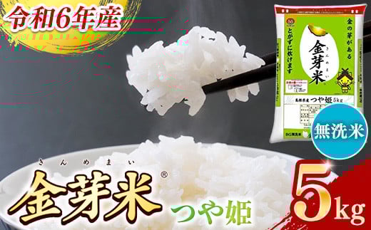 
            BG無洗米・金芽米つや姫 5kg 【令和6年産 時短 健康 特別栽培米 カロリーオフ うまみ 甘み 栄養 おいしい 粒ぞろい ふっくら ビタミン ミネラル 島根県 安来市】【価格変更】
          