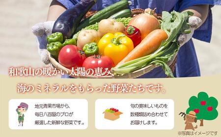 旬の新鮮野菜セット 大満足な13種以上【野菜詰め合わせ】