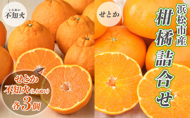 【2027年2月より順次発送】 後藤みかん農園 柑橘詰合せ （せとか・不知火 各3個）ハウス栽培 果物 くだもの 旬のフルーツ 旬の果物 季節のフルーツ 季節の果物 柑橘 柑橘類 静岡 浜松市