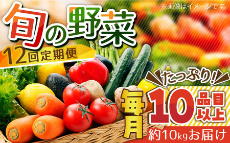 【12回定期便】地元農家さんが収穫した旬のお野菜 10kg 10種詰め合わせ / 野菜 旬 新鮮 採れたて 季節野菜 旬野菜 農家直送 野菜定期便 定期便 / 南島原市 / ミナサポ  [SCW047] 