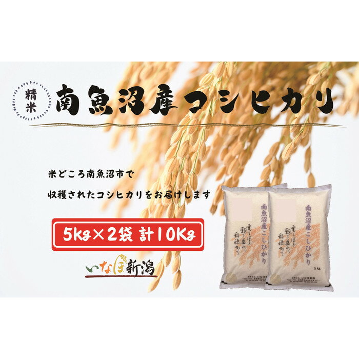 【ふるさと納税】【令和7年産米】南魚沼産コシヒカリ 白米 10kg | お米 こめ 白米 食品 人気 おすすめ 送料無料