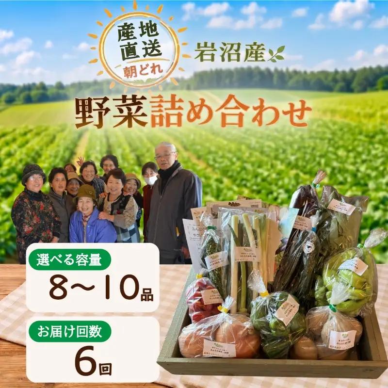【定期便6ヶ月】 産地直送 朝どれ 新鮮野菜 8～10種類 詰め合わせ セット 野菜