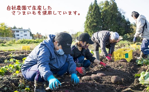【ぶどうの森】ドライモ #1　平干しほしいも×4袋（110g×4）【干しいも ほし芋 干し芋 国産】　※2024年1月中旬～5月下旬頃に順次発送予定
