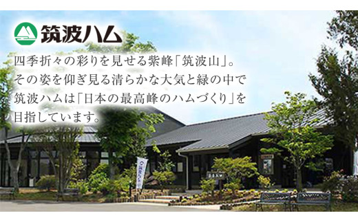 【贈答用（熨斗対応可）】 筑波ハム バラエティ ブロック 7品 ( ハム ベーコン ソーセージ 焼豚 ) 『常陸の輝き』 茨城県産 ブランド豚 銘柄豚 ( 茨城県共通返礼品 ) ロースハム ボンレスハム フランク ウィンナー 豚 ポーク ステーキ 肉 お肉 [EN008sa]