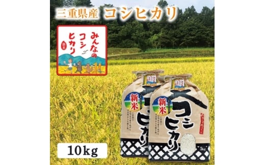 【選べる精米率】新米 令和7年産 三重県産 コシヒカリ 10kg(5kg×2袋)［白米 玄米 5分つき米 7分つき米] 5分つき米 5kg･7分つき米 5kg