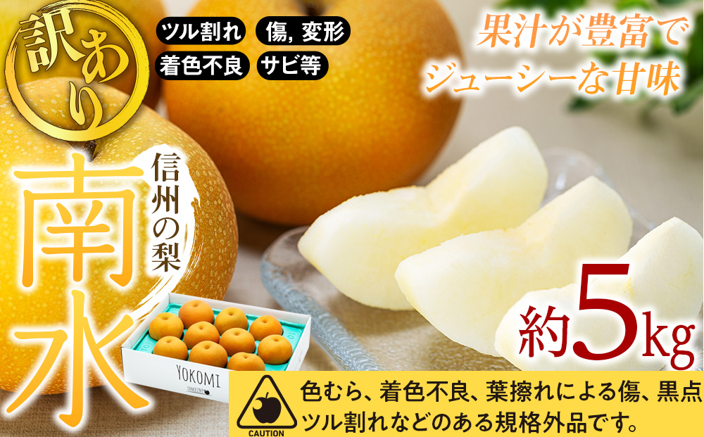 【2026年/令和8年度発送分 】 訳あり 梨 長野 南水 約 5kg 信州の梨 フルーツ 果物 デザート おやつ なし ナシ なんすい ナンスイ 産地直送 長野県 長野県産 信州産 長野県箕輪町