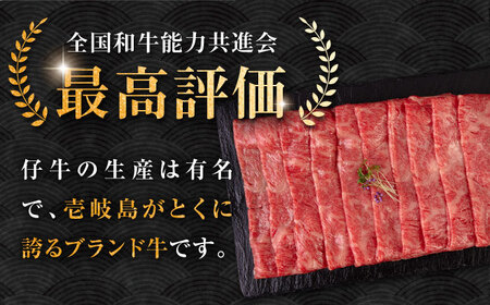 【全6回定期便】壱岐牛 ロース すき焼き・しゃぶしゃぶ用 550g《壱岐市》【中津留】 サーロイン リブロース 肩ロース すき焼き しゃぶしゃぶ 牛肉 [JFS064] 198000 198000円