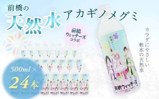水 ミネラルウォーター 前橋ウィッチーズラベル 500ml 24本×1箱 24本 合計12L | 飲料水 みず ナチュラル ミネラルウォーター 天然水 軟水 長期保存 備蓄 防災  水 ミネラルウォーター ペットボトル 長期保存水 備蓄水 備蓄用 非常災害備蓄用 災害用 避難用品 防災グッズ 国産 群馬県 前橋市
