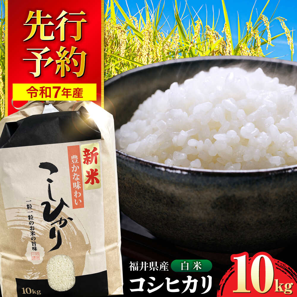 【ふるさと納税】【 先行予約 /9月中旬以降発送】　【令和7年産】 福井県産 コシヒカリ 白米 10kg / 米 お米 精米 国産米 / 小浜市 / 北川博司[BFDG001]