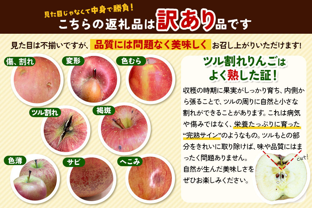 【26年11月下旬〜発送】りんご サンふじ【訳あり】約5kg 糖度13度以上（糖度証明書付）【先行受付】家庭用 青森県 弘前市 果物 フルーツ 林檎 リンゴ くだもの 不揃い 規格外 [先行予約 産地