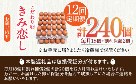 【12回定期便】きみ恋し 箱入り 20個（18個+割れ保証2個）×12ヶ月 総計240個 たまご 卵 玉子 タマゴ 鶏卵 濃厚 玉子焼き 卵焼き オムレツ たまごかけご飯 冷蔵 広川町/伊藤養鶏場[A