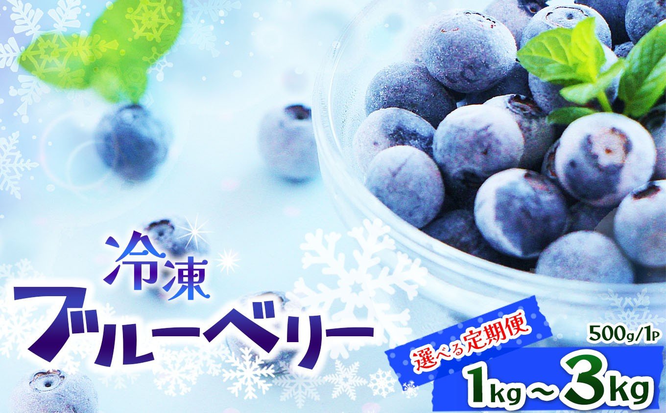 
                  完熟冷凍ブルーベリー 選べる内容量 定期便 約 1kg  2kg 3kg | 完熟 冷凍 Blueberry ブルーベリー ベリー 不揃い 果物 くだもの 健康意識 美意識 ヨーグルト スムージー 栃木県 那珂川町 送料無料
                