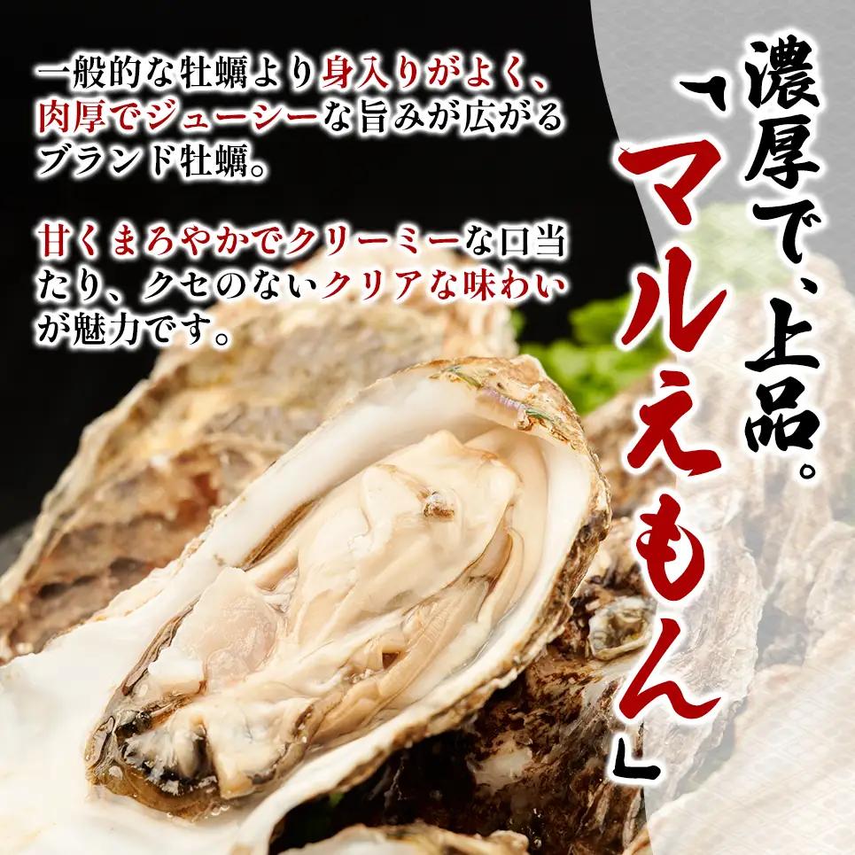北海道 厚岸産 ブランド牡蠣 マルえもん 殻付き 牡蠣 Lサイズ 20個 【光輝】 [ 魚貝類 生牡蠣 海鮮 海の幸 生食用牡蠣 生食用 生食用殻付き牡蠣 濃厚 甘み  オイスター ]  