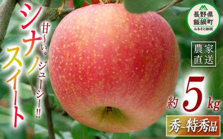 りんご シナノスイート 秀～特秀5kg マルハ農園 沖縄県への配送不可 2026年10月上旬頃から2026年10月下旬頃まで順次発送予定 令和8年度収穫分 エコファーマー認定 信州 果物 フルーツ リンゴ 林檎 長野 予約 農家直送 長野県 飯綱町 [1634]
