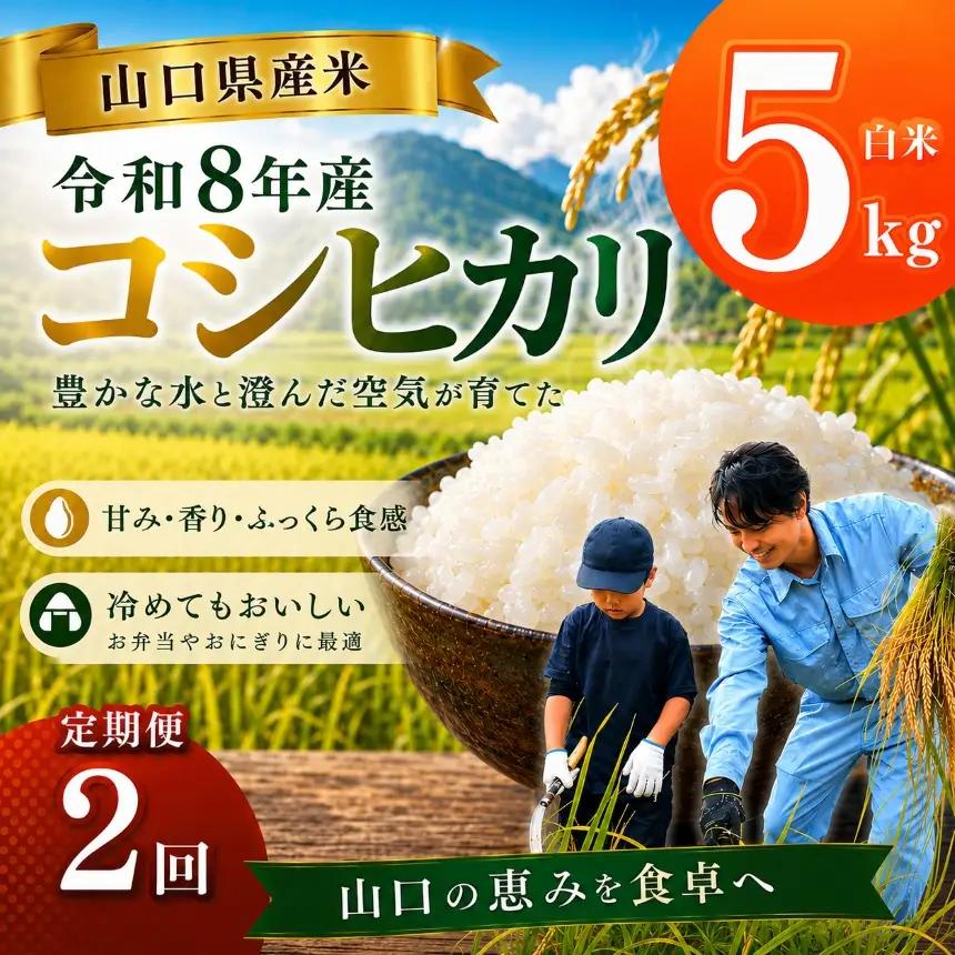 令和8年度産 山口県産 コシヒカリ 5㎏ 定期便 2回発送