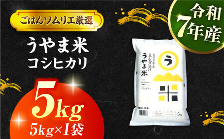 島根県産「うやま米 コシヒカリ（雲南市吉田町）」5kg（5kg×1）島根県松江市/有限会社藤本米穀店[ALCG039]