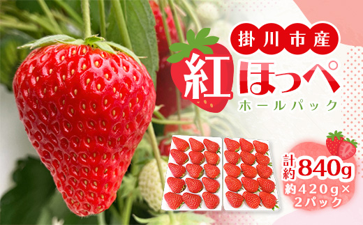 総重量約840g【掛川市産】いちご・紅ほっぺ ホールパック　(2パック入)【配送不可地域：離島・北海道・沖縄県・四国・九州】【1635325】