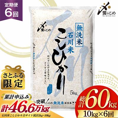 ふるさと納税 宝達志水町 米 定期便 無洗米 石川米 こしひかり 10kg ( 5kg 2袋) 6回 [38601401]