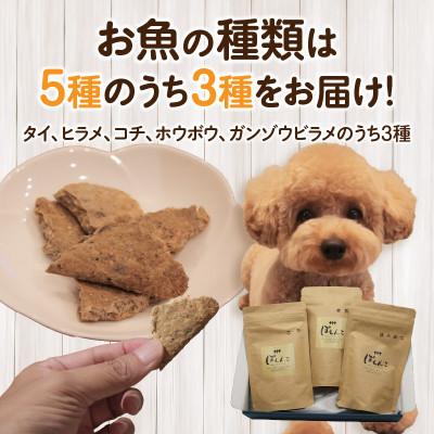 ふるさと納税 西尾市 100%お魚で作ったペットフード「ぽわんこ」ハーフサイズ・K323 |  | 01