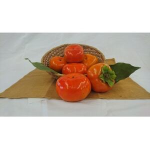 秋の味覚　とよあけしの次郎柿　7.5kg(柿28～32個前後)【1533481】