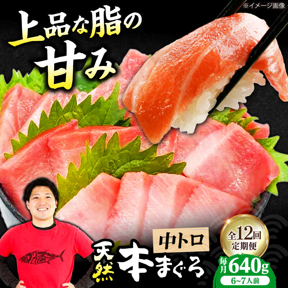 【ふるさと納税】【全12回定期便】極上！たね熟天然本まぐろ中トロ(640g) 天然 マグロ 鮪 中トロ 刺身 魚 魚介 大阪府高槻市/本まぐろ直売所[AOCE036]