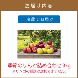 【予約：2024年10月から順次発送】季節のりんご詰め合わせ 3kg ( りんご リンゴ 林檎 旭 つがる 黄王 レッドゴールド ジョナゴールド 昴林 王林 ふじ )【044-0002-2024】