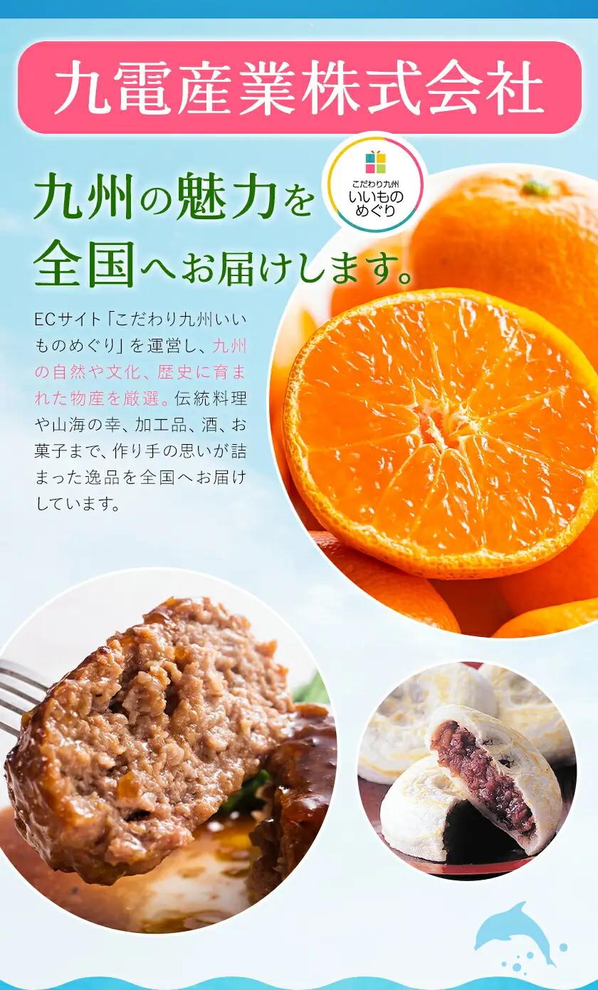 天草の塩・極上職人のうまかだしセット 天草の塩(しっとりタイプ) 200g 極上職人のうまかだし 8g×30包 九電産業株式会社 《30日以内に出荷予定(土日祝除く)》熊本県 苓北町 塩 だし sal