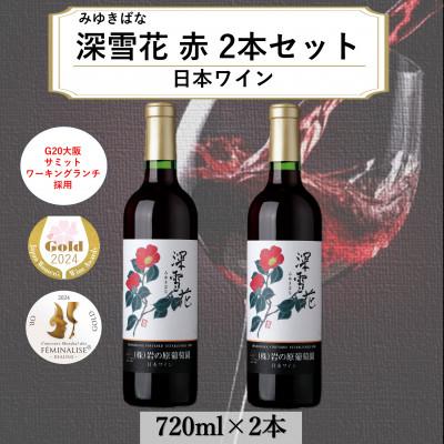 ふるさと納税 上越市 G20大阪サミットワーキングランチ採用　岩の原ワイン　深雪花　赤　2本セット