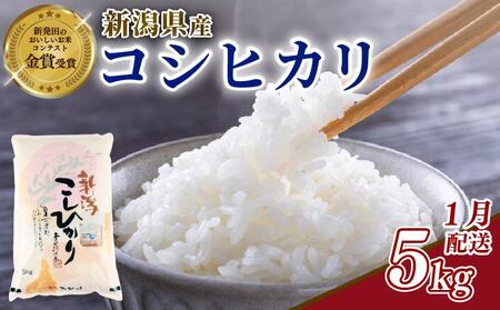【令和7年産】 1月発送 コシヒカリ 5kg 選べる 配送月 新米 新潟 shibatafarm004_2026_01_01