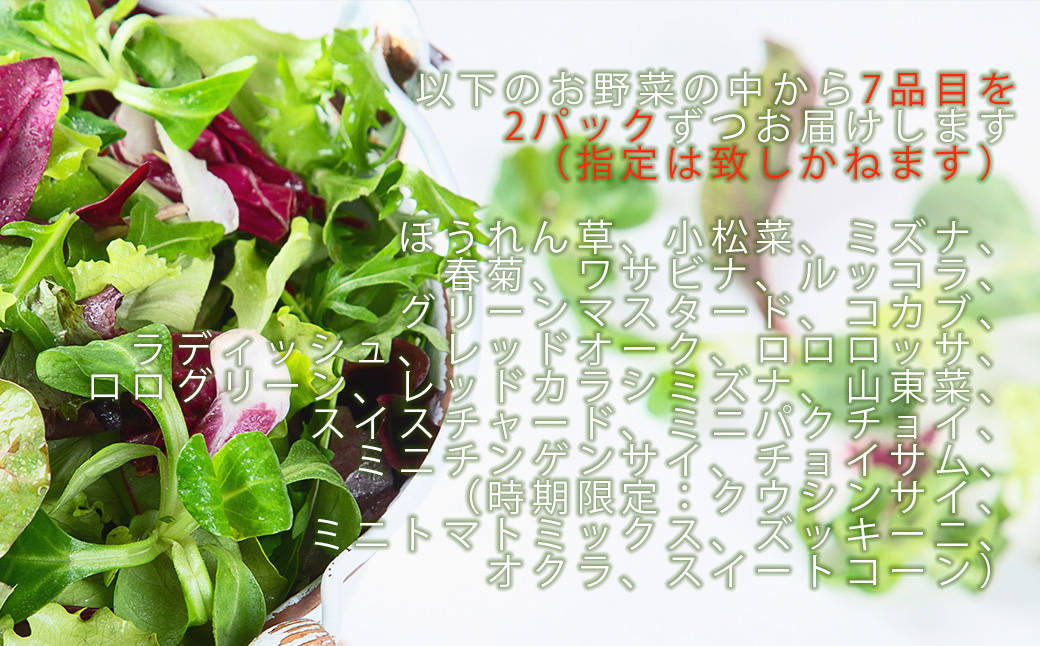 CQ020_【定期便】オーガニック葉物野菜セット【植物性で育