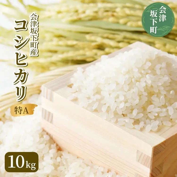 21-J　会津坂下町産コシヒカリ10kg（令和7年産米・会津エコ米）（白米）◆ ｜ 米 こめ コメ 精米 白米 10kg コシヒカリ ※2025年10月中旬頃より順次発送予定