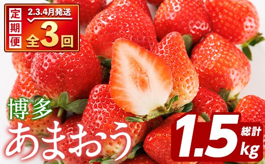 ＜先行予約受付中！2027年2月上旬以降順次発送予定＞＜定期便・全3回(2月・3月・4月)＞博多 あまおう (総計1.5kg) いちご イチゴ 苺 ストロベリー 果物 フルーツ おやつ デザート 冷蔵 旬 小分け 定期便 【農産物直売所ほたるの里】as52-011