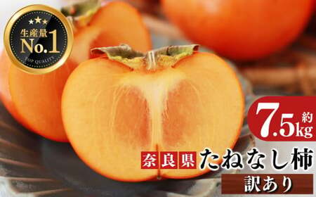 たねなし柿 訳あり 約7kg サイズ MIX | フルーツ くだもの 果物 柿 かき カキ たねなし柿 奈良県 五條市