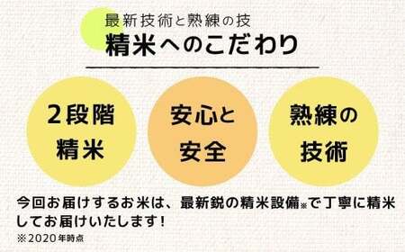 ★令和5年産★数量限定★熊本を代表するブランド米13ｋｇ（森のくまさん5kg×2袋、3kg×1袋）決済確定月の翌月20日前後から順次発送開始予定【価格改定ZA】