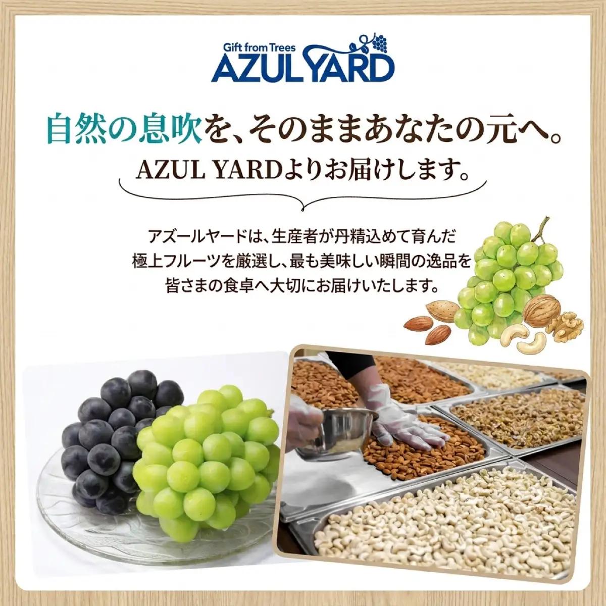 【マカダミアナッツ】 600g  無塩 ロースト加工