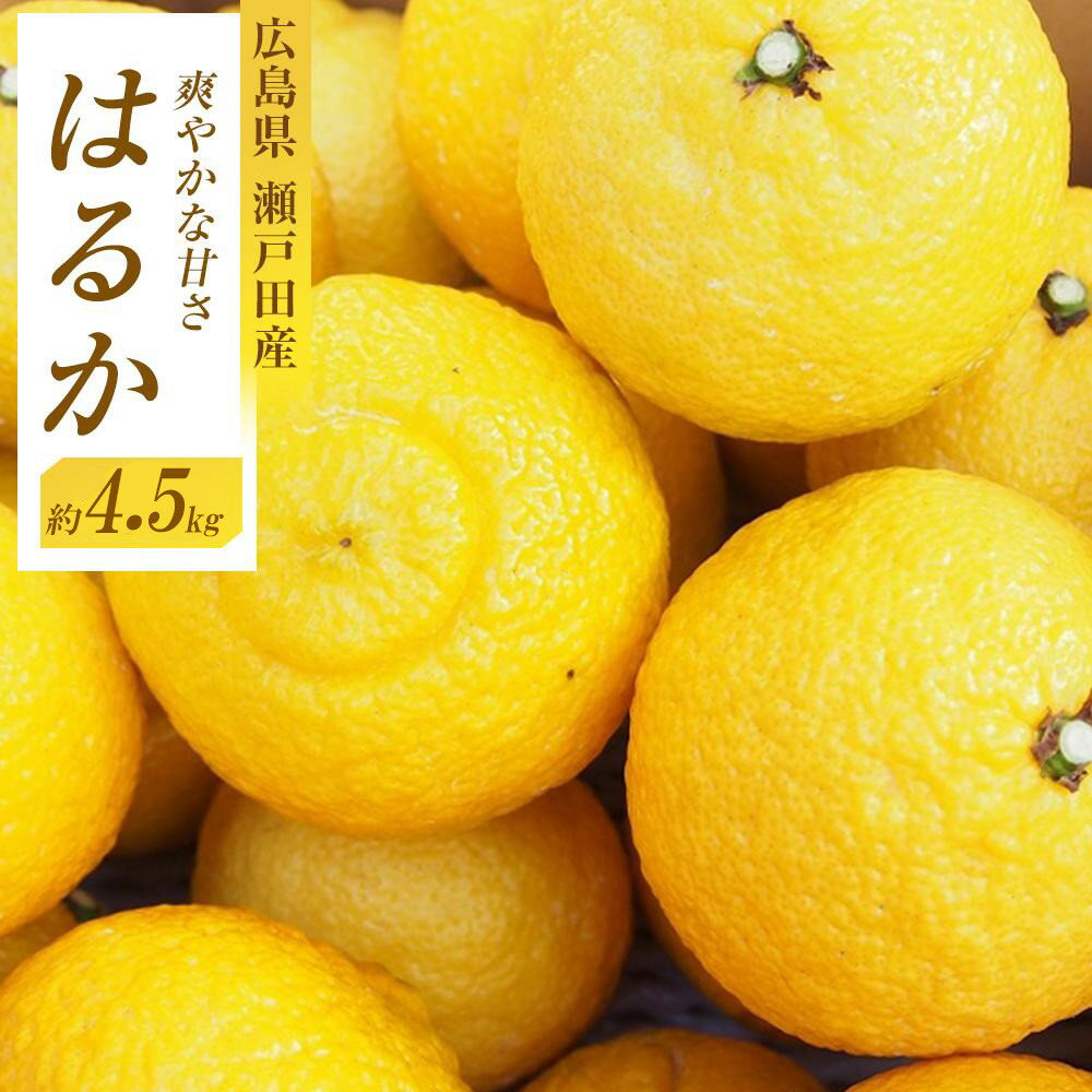 【ふるさと納税】爽やかな甘さのはるか　4.5kg　＜2026年2月下旬より発送開始＞ | 広島県尾道市 広島県 尾道市 広島 尾道 ふるさと 納税 支援 はるか みかん フルーツ 果物 青果 柑橘