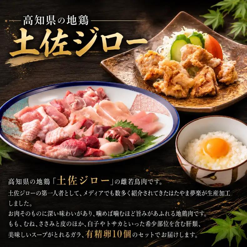 地鶏 土佐ジロー 【10月発送】 1羽 ( 正肉 肝 がら ) 卵 10個 セット 地鶏
