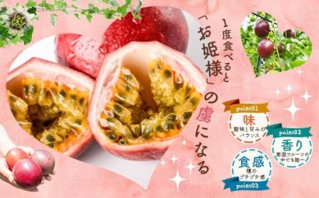 【数量限定】 甑島のパッションフルーツ 青果2.5kg ご自宅用 BS-639