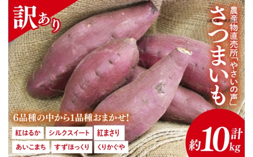 農産物直売所「やさいの声」★訳あり★さつまいも(品種おまかせ) 約10kg｜さつまいも 芋 サツマイモ 訳あり わけあり ワケアリ おまかせ 10kg 紅はるか シルクスイート すずほっくり くりかぐ