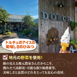 ジェラート イタリアンジェラート チョコミント 500ml