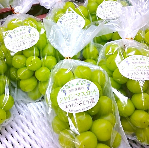 【ふるさと納税】【2026年先行予約】まつもとぶどう園 シャインマスカット3~4房 約2kg 果物類 フルーツ