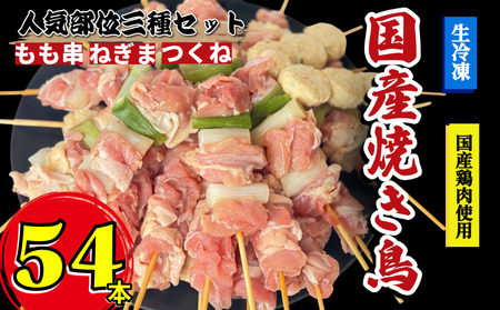 【とり信の特製タレ付き】焼き鳥 セット 54本 国産 焼き鳥